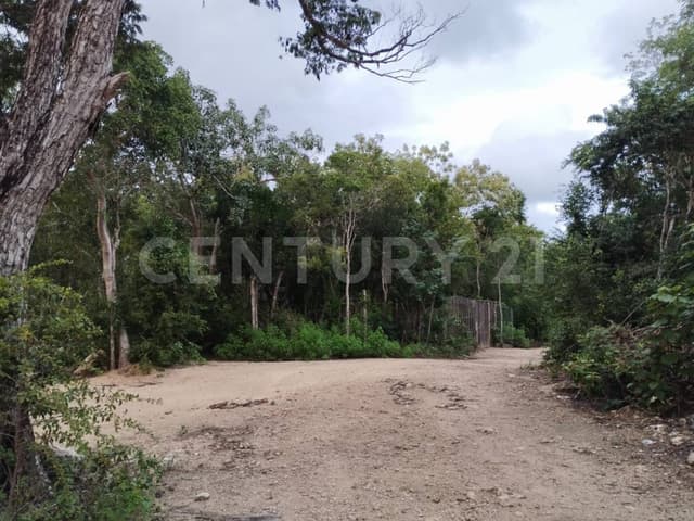 Terreno en Venta, En La Colonia San Pablo, Municipio de Tulum