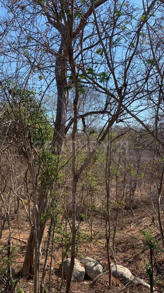 Terreno en Venta Residencial Conejos