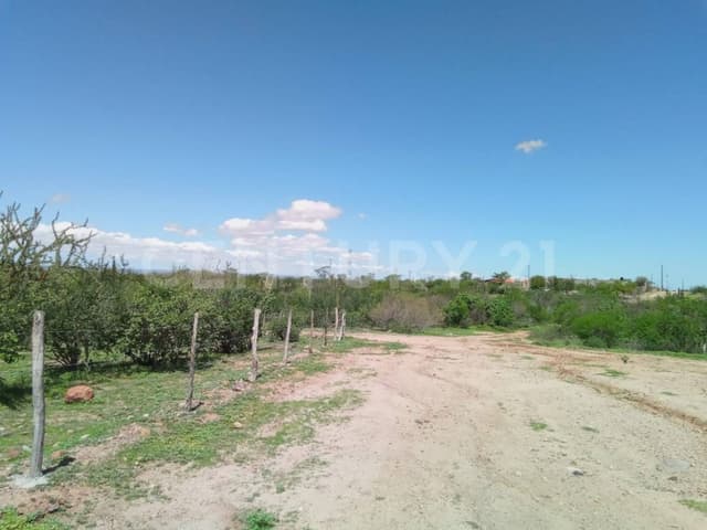 TERRENO CAMPESTRE EN LOMAS DE SAN PEDRO
