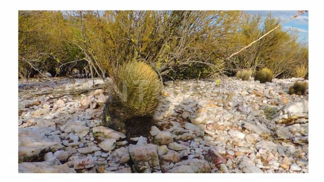 CTV-1020 Terreno Rústico- Agrícola para desarrollo sustentable