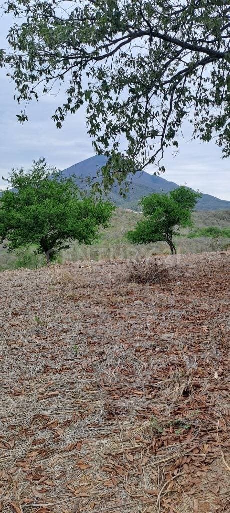 TERRENO EN VENTA EN ALLENDE NUEVO LEON