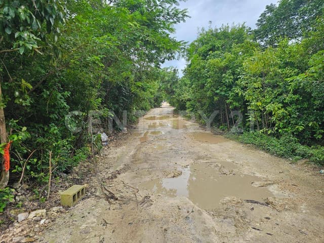 Terreno 2,500 m2 en Venta Región 15 Tulum - La Veleta a 5 min de la playa