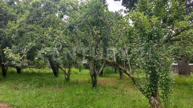 TERRENO EN VENTA, EXPLANADA DEL CARMEN, SAN CRISTOBAL DE LAS CASAS