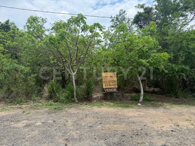 TERRENO EN VENTA BUENA VISTA, PUEBLO VIEJO, VERACRUZ