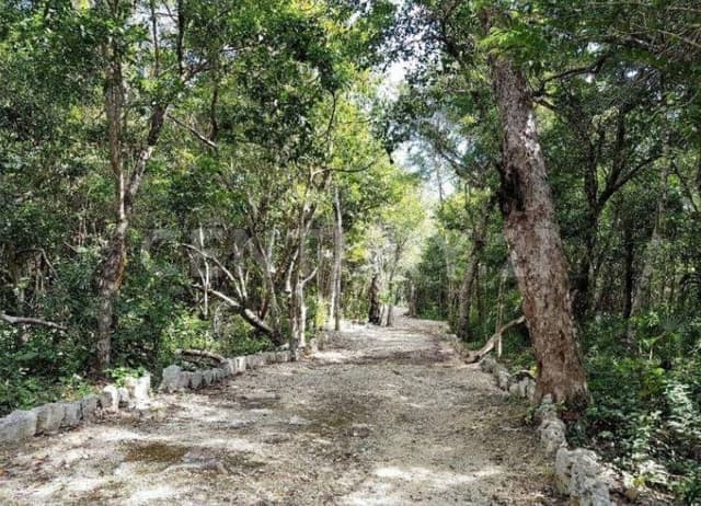 Se vende Lote de 1 hectarea en Aldea Coral , Chemuyil Riviera Maya P4129