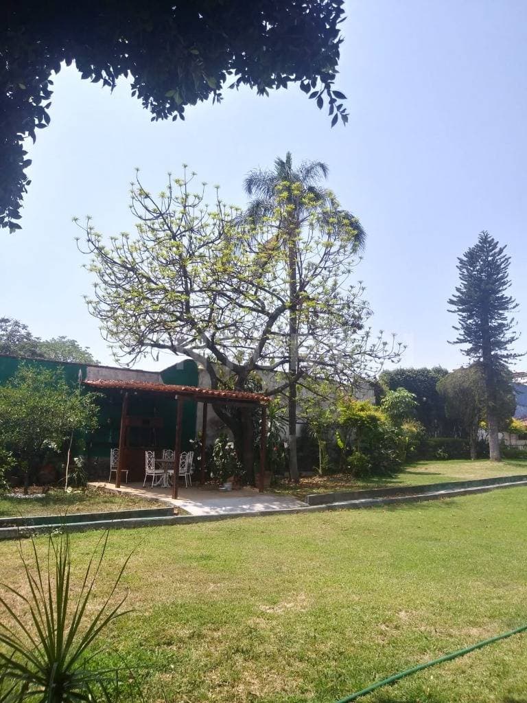 Fotos adicionales