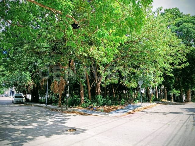 OPORTUNIDAD DE INVERSIÓN CON ALTA PLUSVALÍA EN EL EJIDO, VENTA DE TERRENO