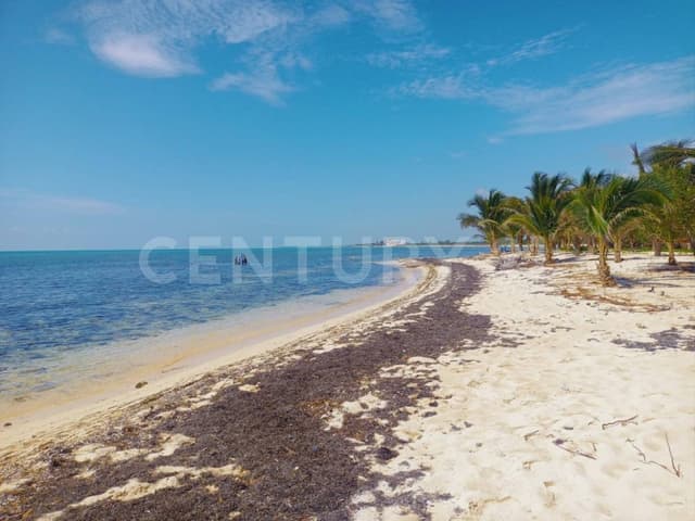 Terrenos de Inversión en Playa del Carmen