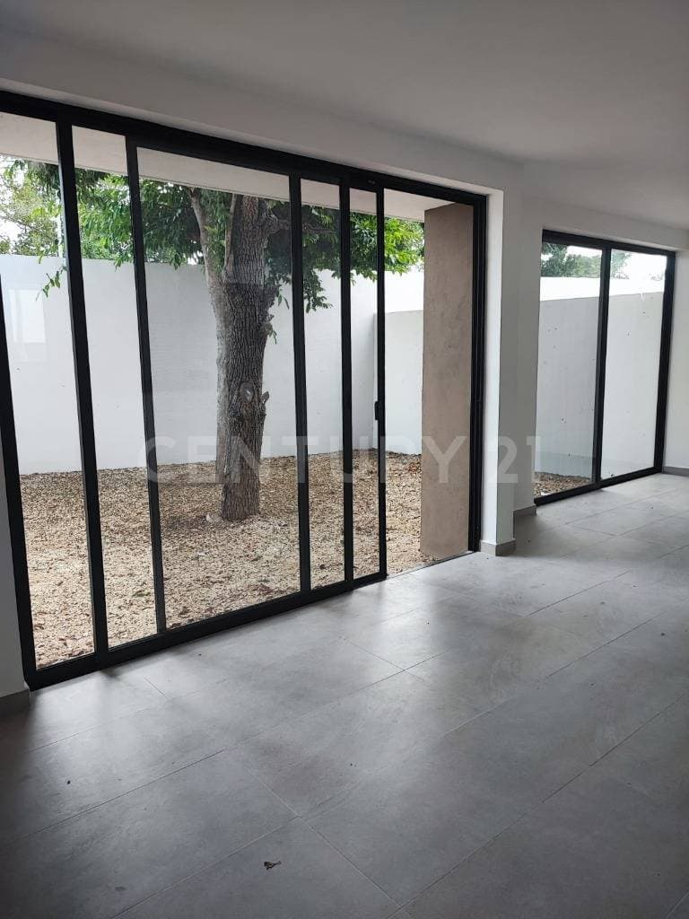 Fotos adicionales
