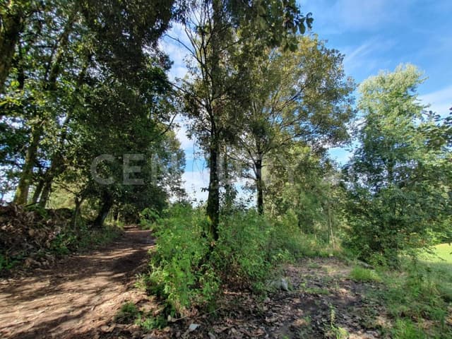 TERRENO PLANO EN SAN SIMÓN, VALLE DE BRAVO.