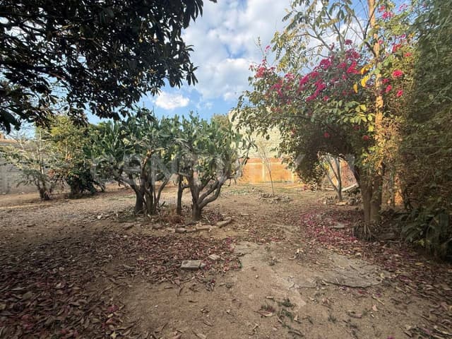 SE VENDE TERRENO EN PUEBLO NUEVO