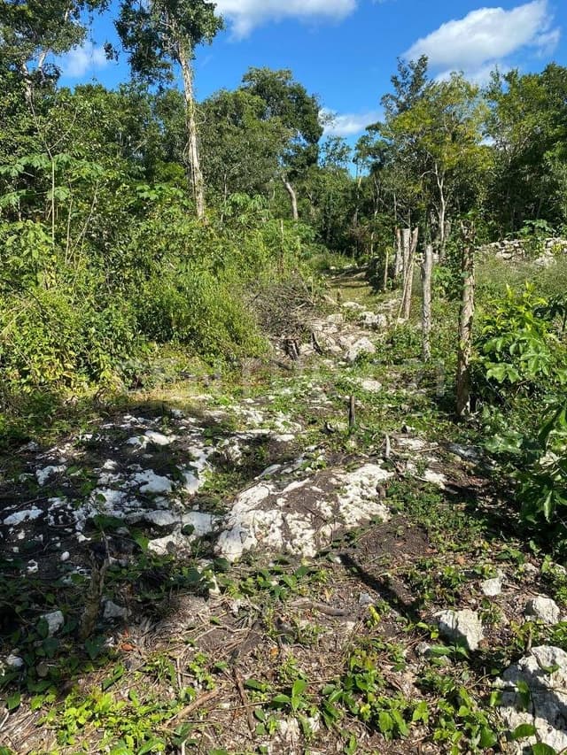 Terreno en Tulum Quintana Roo
