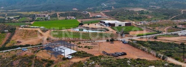 Terreno en venta en el Valle de Guadalupe, Ensenada, Baja, California