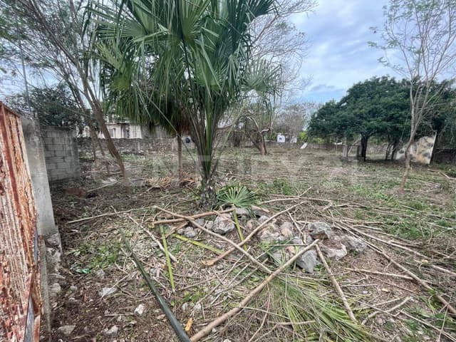 TERRENO EN VENTA UBICADO EN KOMCHEN MÉRIDA, YUCATÁN