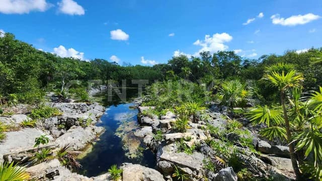 Casa en venta con cenote natural, Yalku Tulum, Quintana Roo
