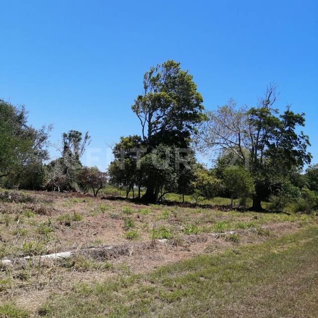 TERRENO VENTA BARRA DEL TORDO ALDAMA