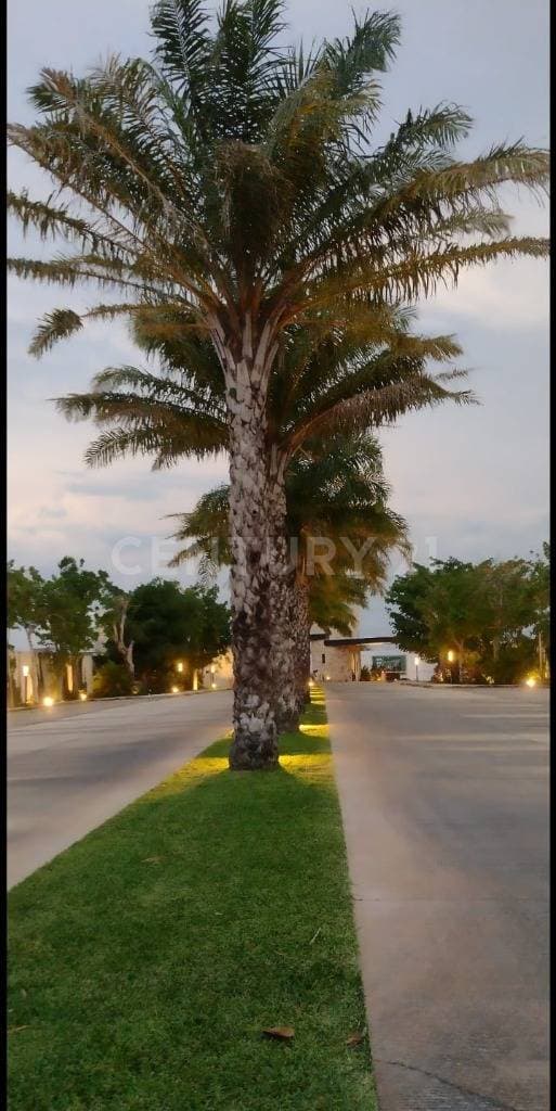 Venta de Terreno en Cholul, Mérida, Yucatán