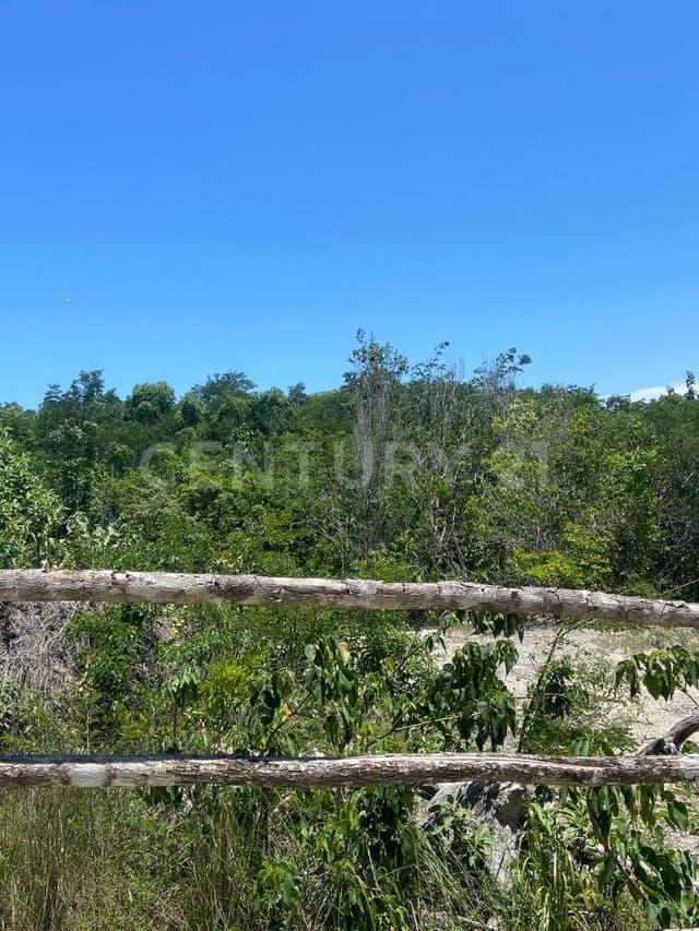 Terreno en Venta para Inversión, Playa del Carmen, Cancún Quintana Roo
