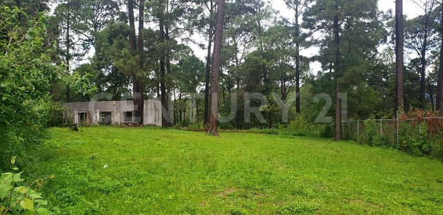 TERRENO PLANO CERRO GORDO, VALLE DE BRAVO.