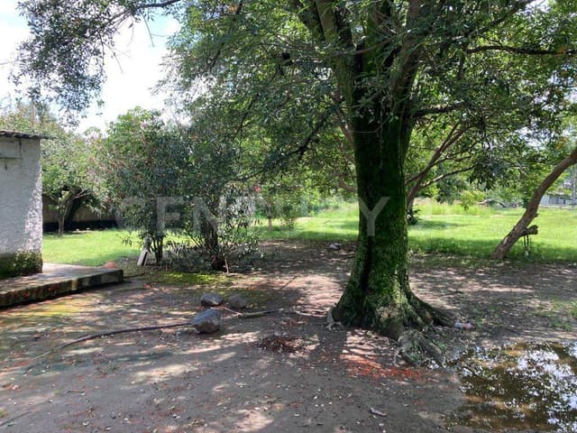 Terreno En Venta En Los Cajetes