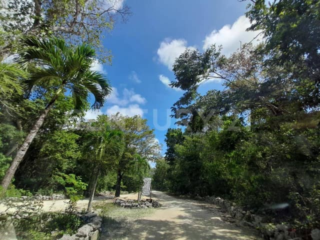 OPORTUNIDAD! Lote de 1 hectárea Aldea Coral para desarrollar en la Riviera Maya