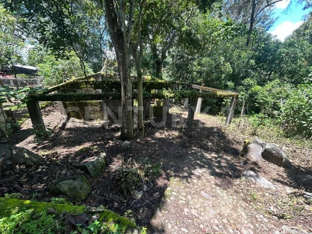 Terreno en Queseria, Montitlan Municipio Cuauhtemoc