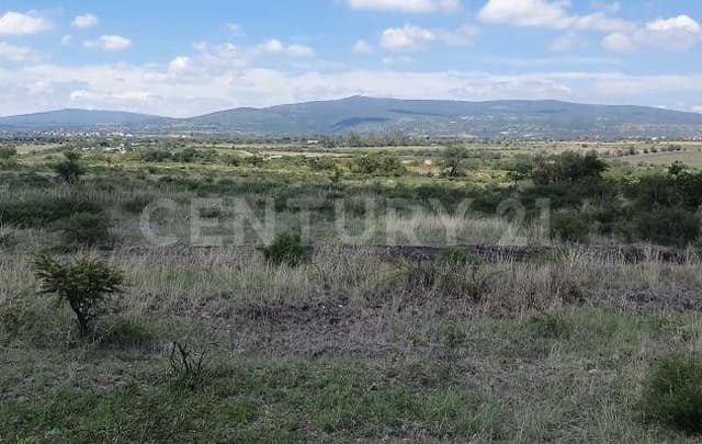 50 HECTAREAS EN VENTA EN APASEO EL ALTO GUANAJUATO