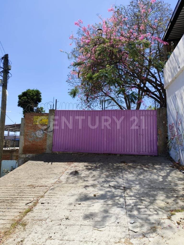 Fotos adicionales