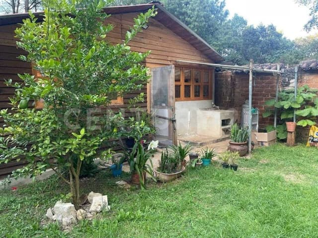 TERRENO CON CABAÑA EN VENTA RANCHO SAN NICOLAS SAN CRISTOBAL DE LAS CASAS