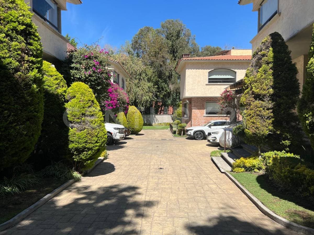 Fotos adicionales
