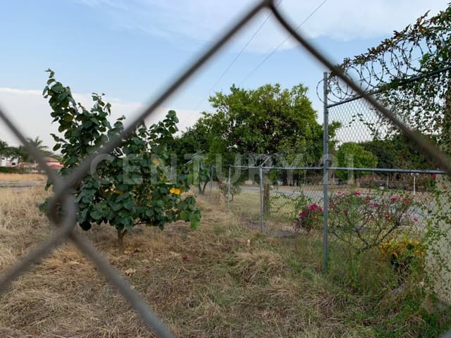 Terreno en venta en carretera Colima- El Trapiche