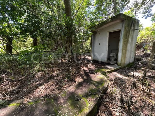 Terreno en Queseria, Montitlan Municipio Cuauhtemoc