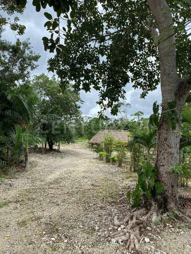 Terreno Ecológico en Venta