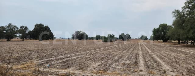 TERRENO EN VENTA UBICADO EN ZUMPANGO EDO DE MÉXICO.