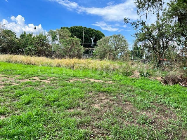 Terreno en Maravillas