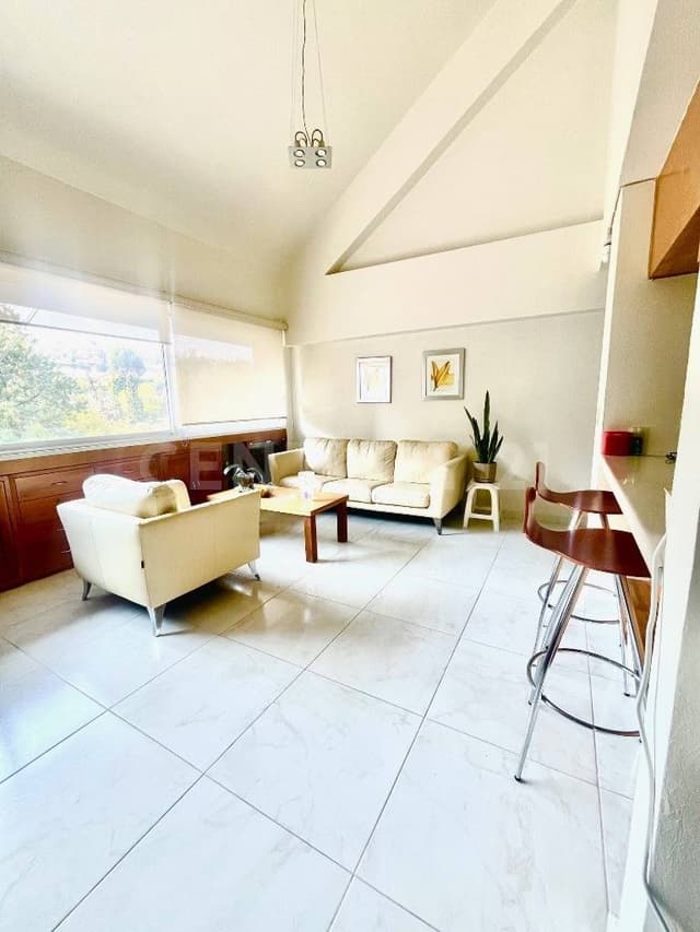 Penthouse de 2 pisos con Roof Garden, en parte baja de Czda Dto de los Leones