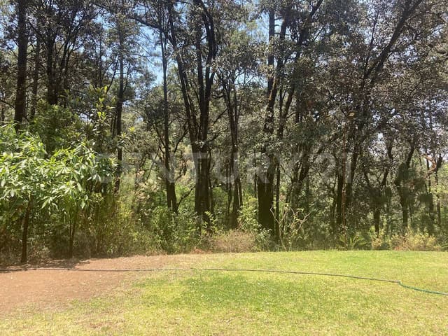 TERRENO CON VISTA AL BOSQUE, ACCESO A UN RÍO Y CASA, VALLE DE BRAVO.