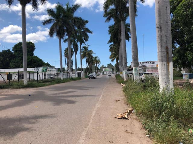 TERRENO EN VENTA en el Centro de La Higuera de Zaragoza, Ahome, Sinaloa.