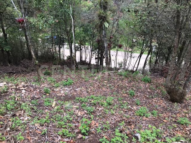 Terreno en Venta Camino a San Jose Buenavista