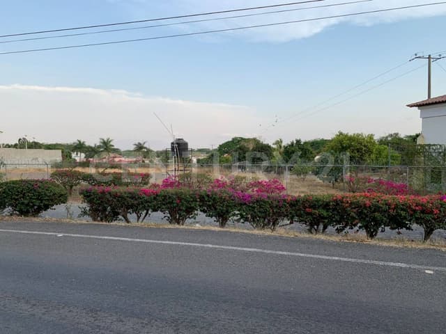 Terreno en venta en carretera Colima- El Trapiche