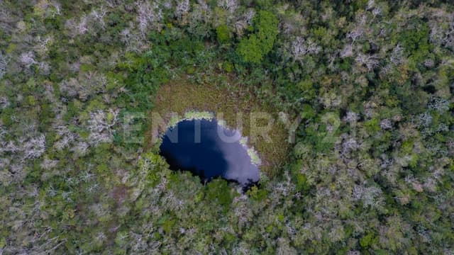 Venta de terreno San Alejo en Carretera Cancún - Leona Vicario YC0923