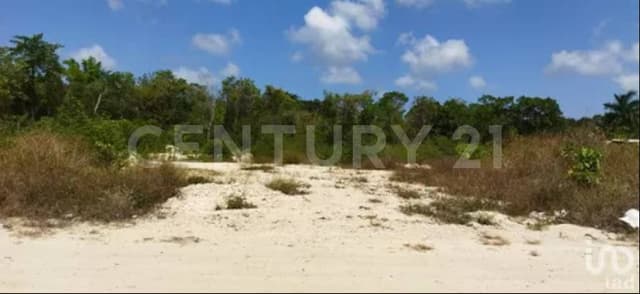 Excelente terreno en Alfredo V. Bonfil / Cancun