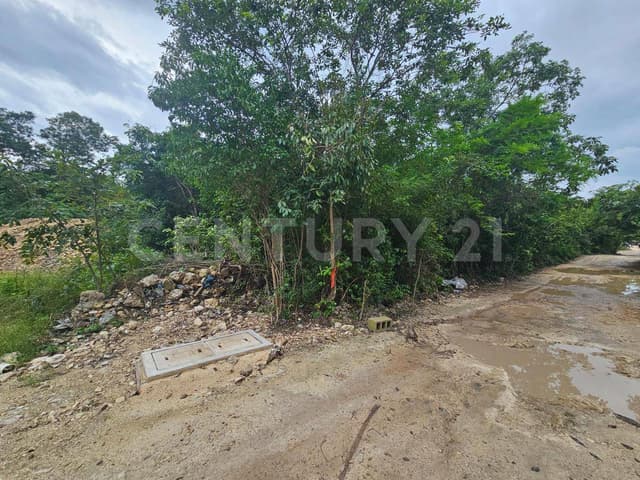 Terreno 2,500 m2 en Venta Región 15 Tulum - La Veleta a 5 min de la playa