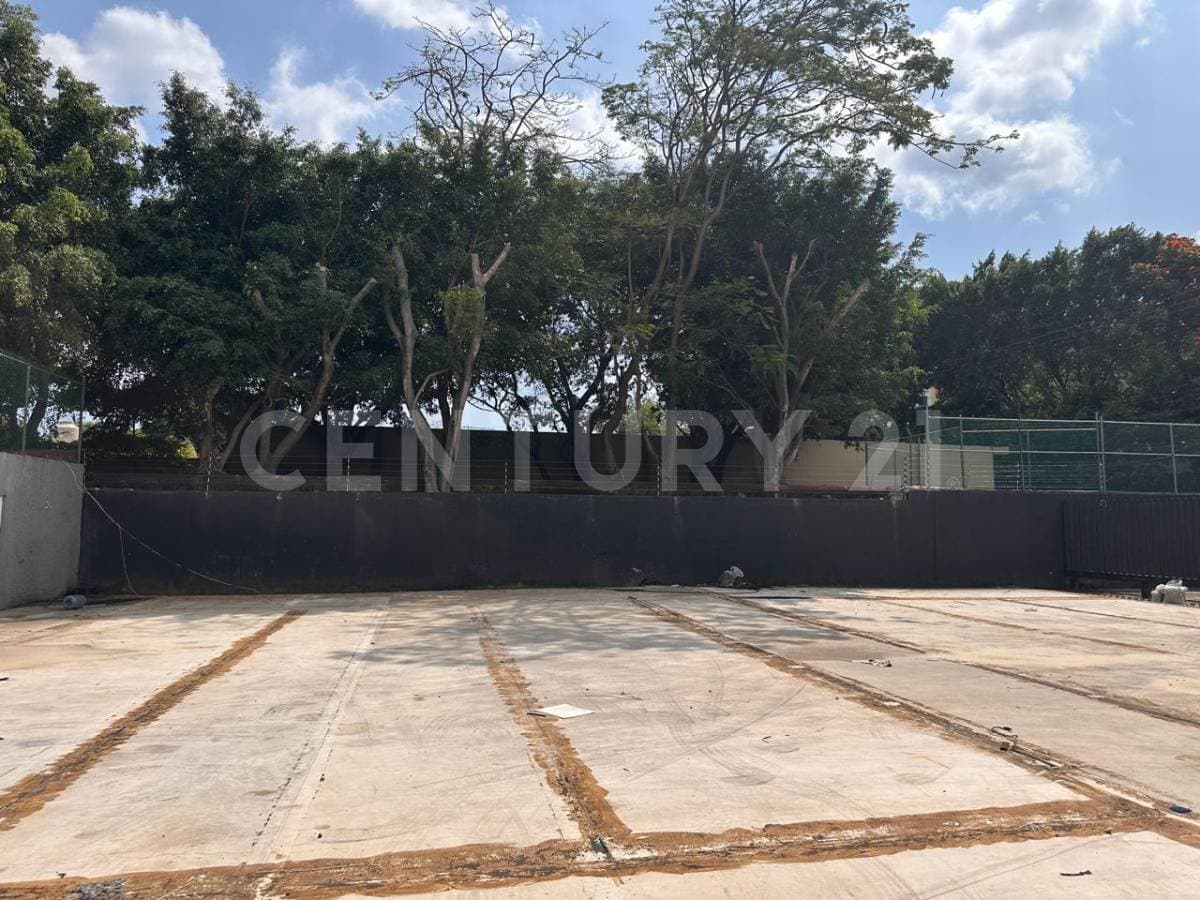 Fotos adicionales