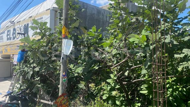 Se vende terreno comercial frente a Carretera Nacional Cva.–Chilpancingo