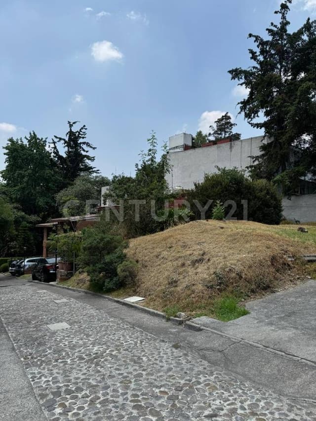 LOMAS DE TETELPAN - ALVARO OBREGON