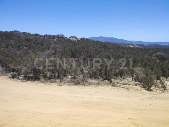 TERRENO CAMPESTRE EN VENTA