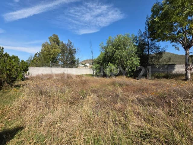terreno en venta en san isidro buenavista