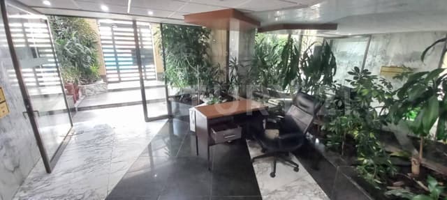 Departamento en Renta, Calle Monte Chimborazo, Lomas de Chapultepec, M.H., CDMX