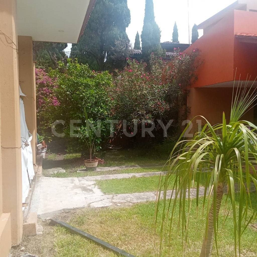 Fotos adicionales